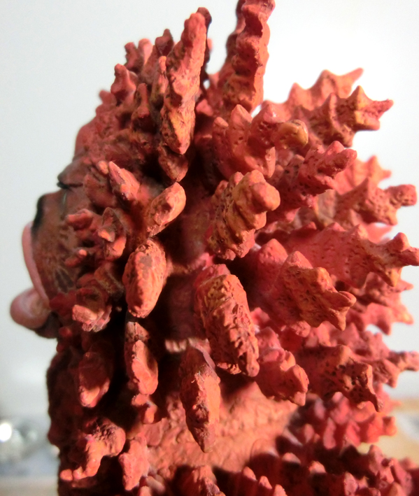 e0096346_8564095.jpg