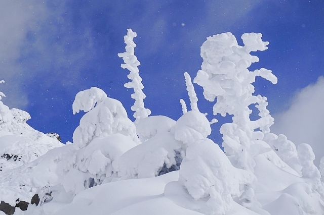 b0122448_21230817.jpg