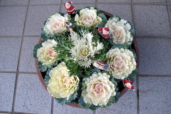 c0147952_20253047.jpg