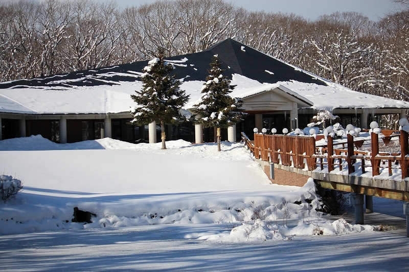 12月7日　大沼の雪景色を　２_b0250154_22100015.jpg