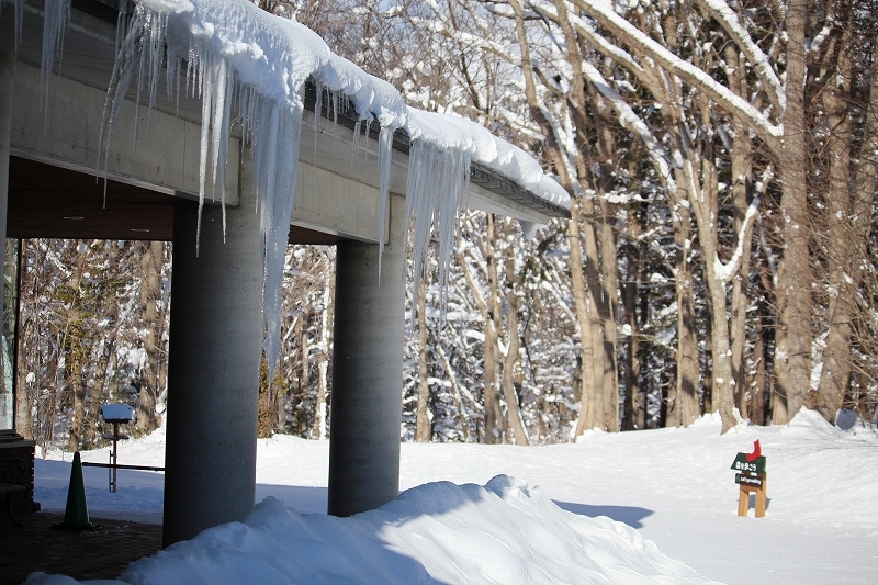 12月7日　大沼の雪景色を　２_b0250154_22101698.jpg