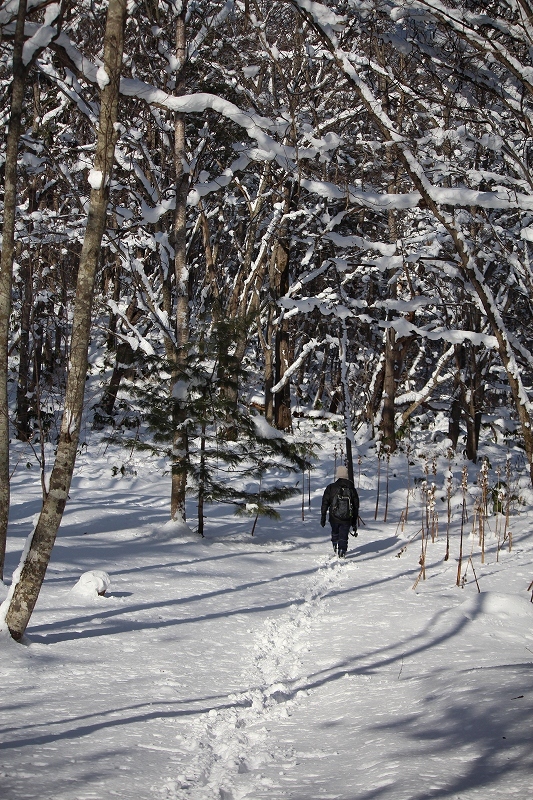 12月7日　大沼の雪景色を　２_b0250154_22131133.jpg