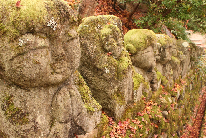 嵯峨野紅葉めぐり　～その3　愛宕念仏寺～_e0232054_21164247.jpg