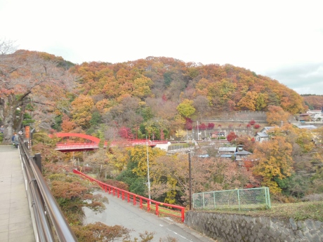 c0127460_1520265.jpg