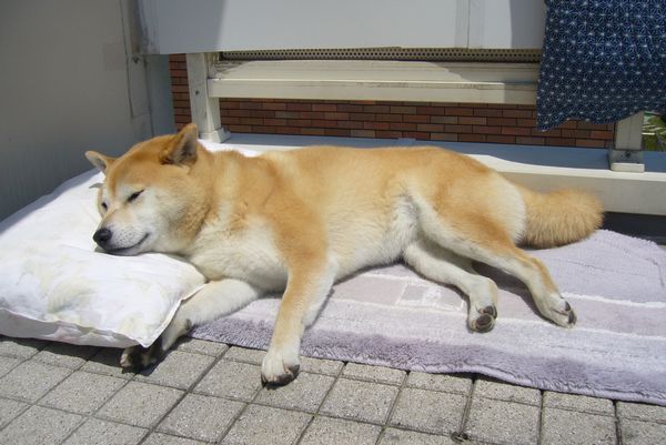 ’14,12,7(日)素敵な日曜日!_f0060461_10295248.jpg