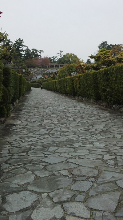 松阪城の桜_a0093566_19470308.jpg