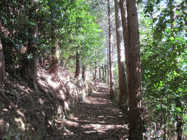 c0219866_1913245.jpg