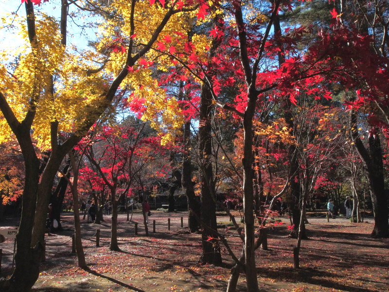 f0208666_13242090.jpg