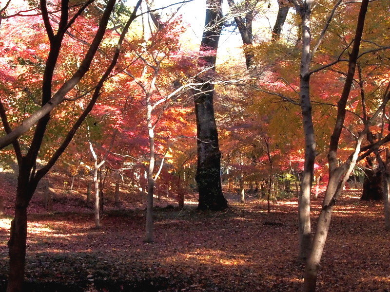 f0208666_13303886.jpg