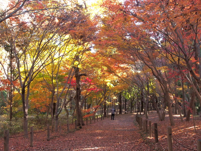 f0208666_13305416.jpg