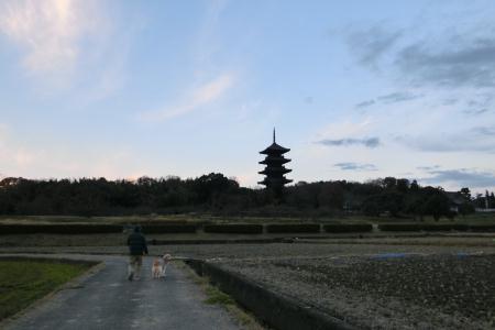 b0112568_21122080.jpg