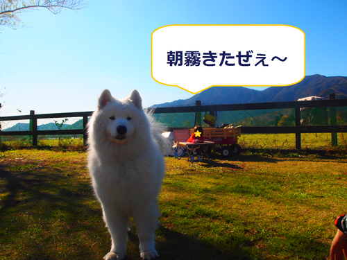 d0251768_1012932.png