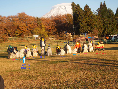 d0251768_1044972.png