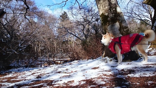 b0274270_12231911.jpg