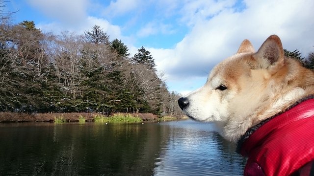 b0274270_12232859.jpg