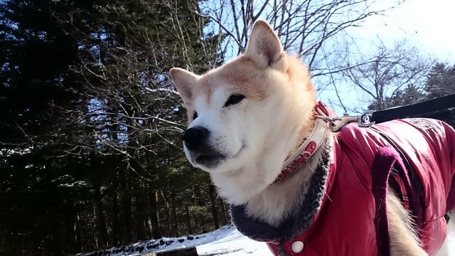 b0274270_12234090.jpg