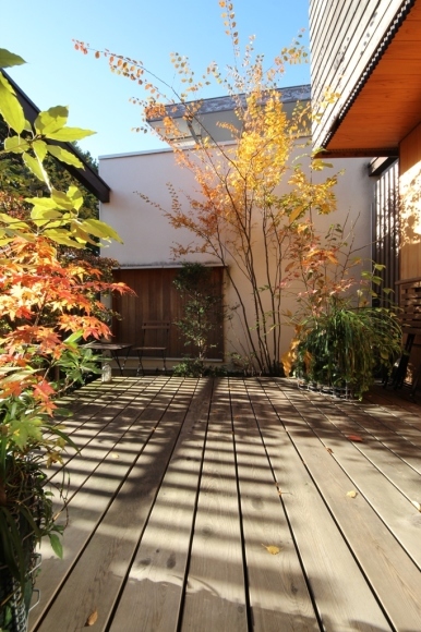 紅葉の庭で_c0310571_08260684.jpg