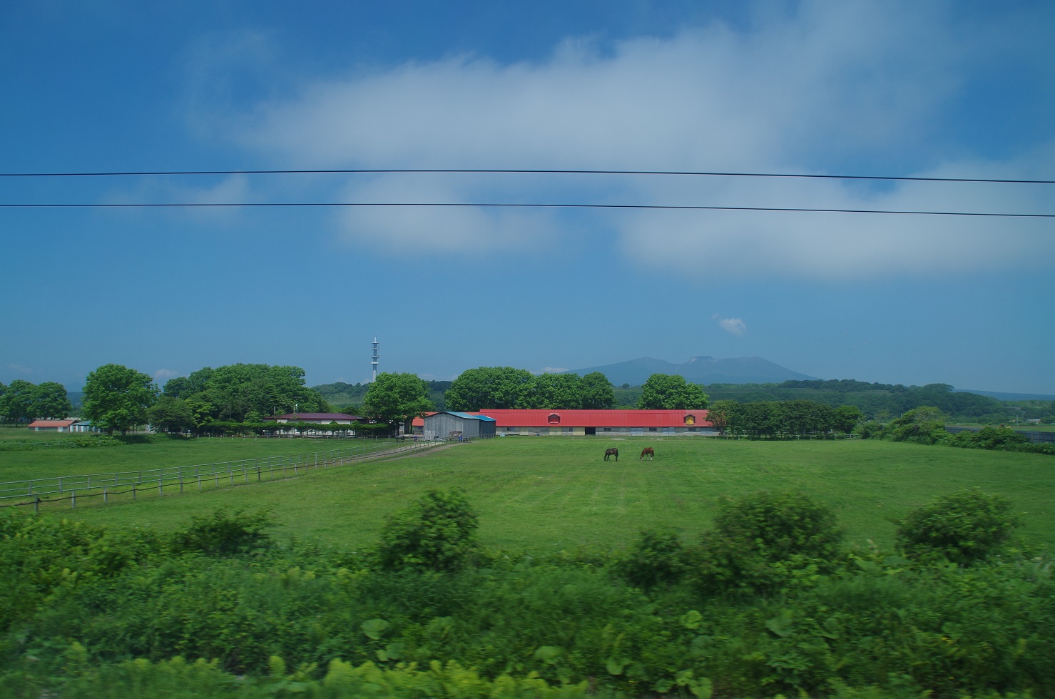 b0059978_1525166.jpg