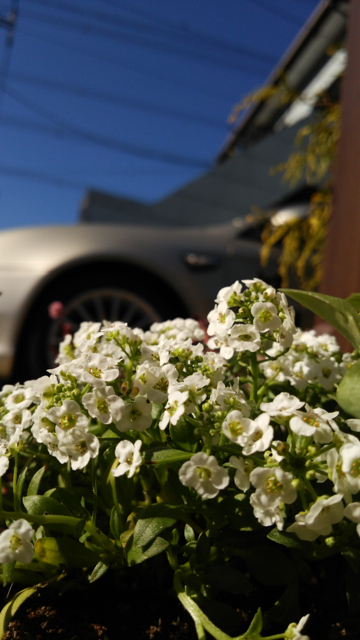 c0064678_15231841.jpg