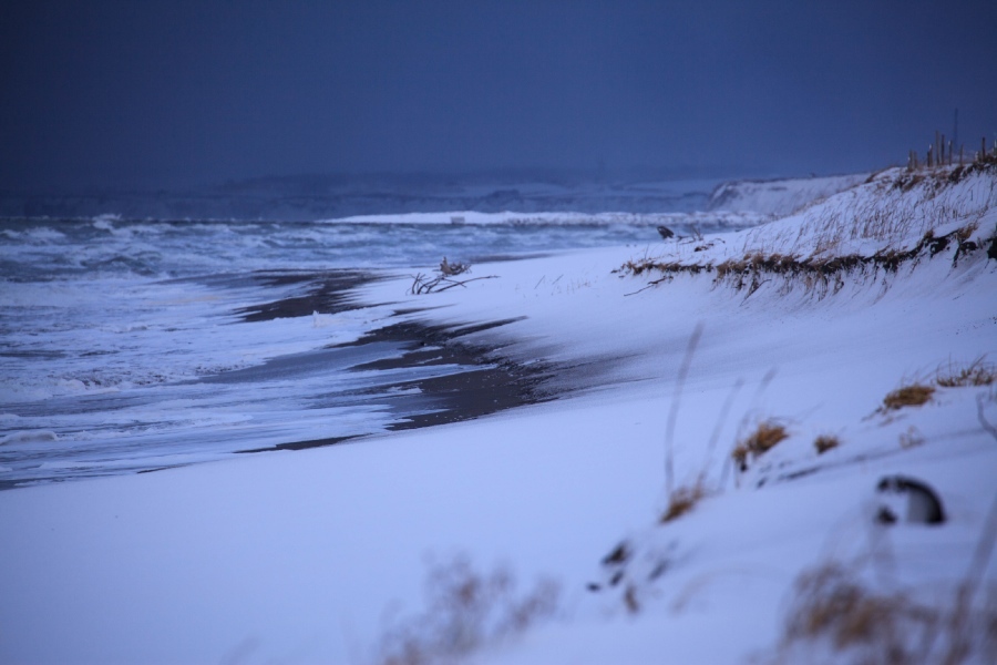 寒々しい冬の海 なよら風