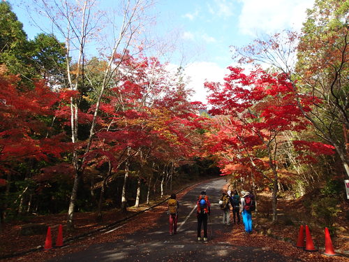 f0223480_16433646.jpg