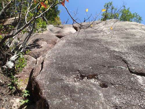 f0223480_1655125.jpg
