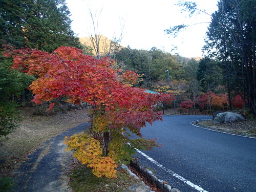 f0223480_16563265.jpg