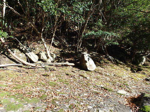 f0223480_17384763.jpg