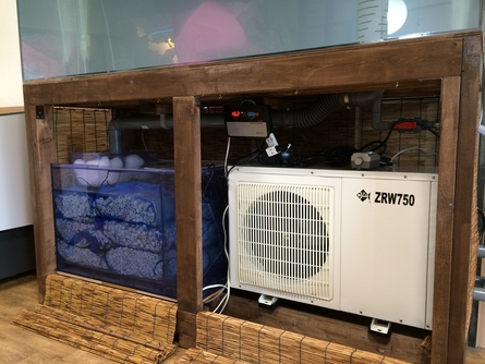 12/7 店長日記_e0173381_17374922.jpg