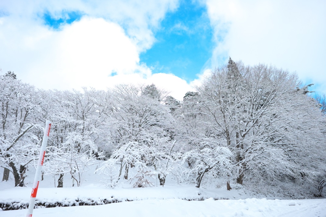 雪の土津神社　猪苗代町　２０１４・１２・０６_e0143883_9445482.jpg