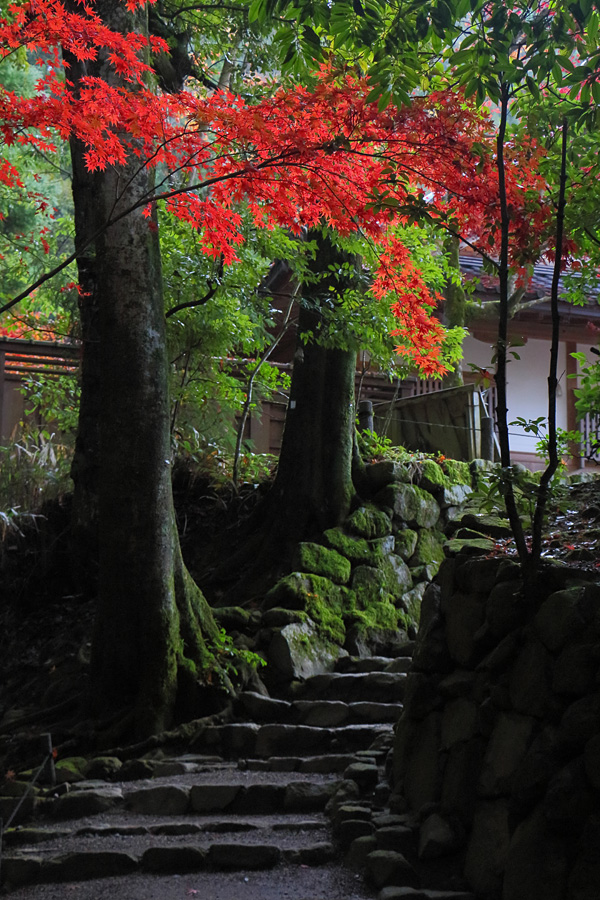 14.11.30：今年最後の紅葉①湖東三山、西明寺２_c0007190_18242971.jpg