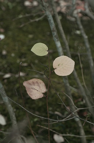 b0119493_23573662.jpg