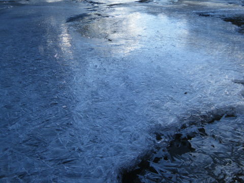 寒さの次は雪・・・_b0343293_13480944.jpg