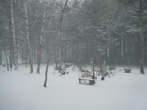 寒さの次は雪・・・_b0343293_14013067.jpg