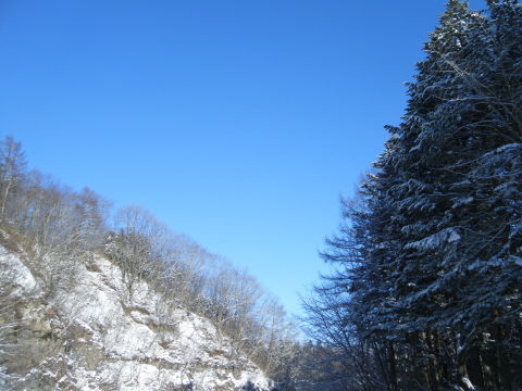 寒さの次は雪・・・_b0343293_14301386.jpg
