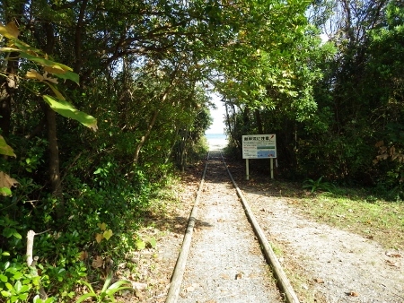 a0125598_20423176.jpg
