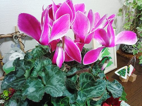 c0007502_09413801.jpg