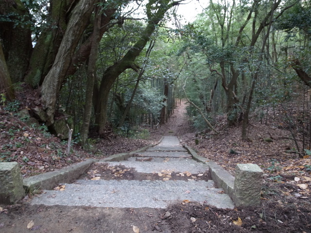 f0197703_17245091.jpg