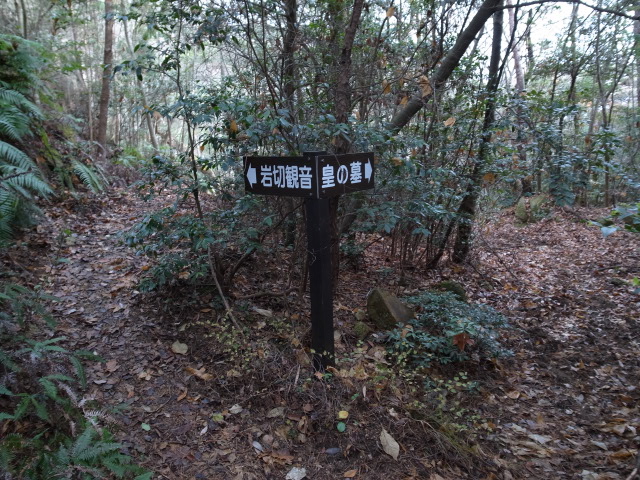f0197703_17421749.jpg