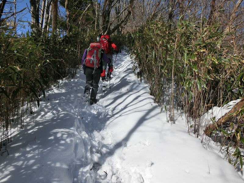 足谷川コースから平家平～冠山 周遊　あわやビバーク寸前_b0124306_16465489.jpg