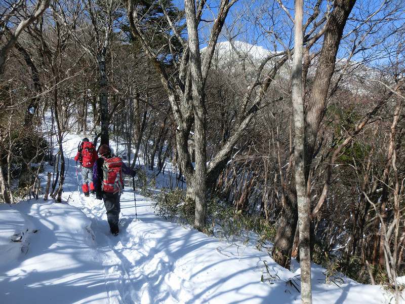 足谷川コースから平家平～冠山 周遊　あわやビバーク寸前_b0124306_16544689.jpg