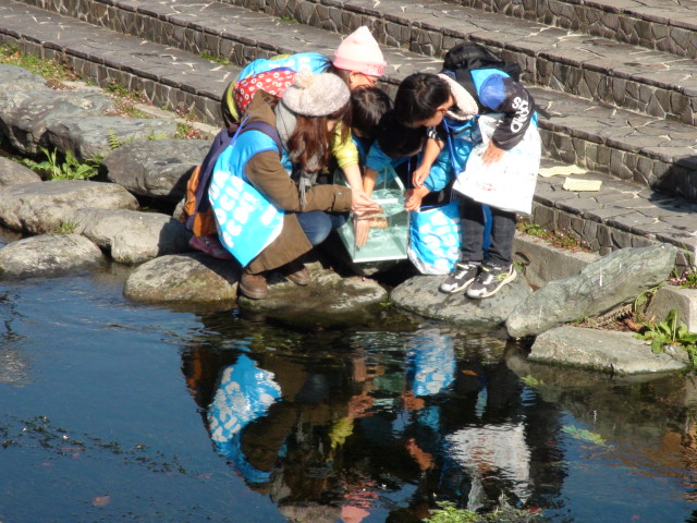 「西条市うちぬきウォークラリー」…2014/12/07(日) _f0231709_13281659.jpg