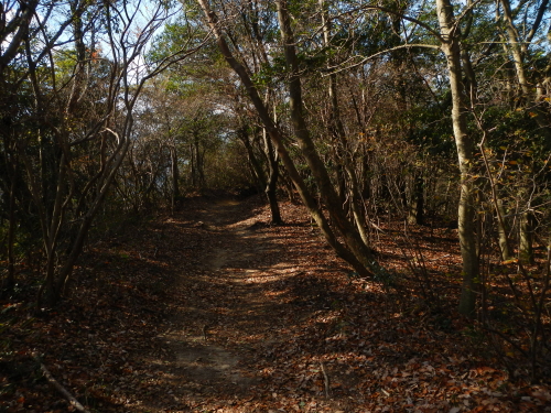 e0211912_1839071.jpg