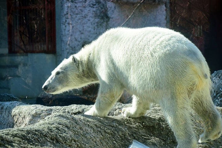 a0151913_11433048.jpg
