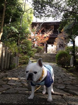 松尾寺と小さいおっサンタ_f0090117_202016.jpg