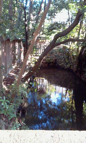 e0110719_1019655.jpg
