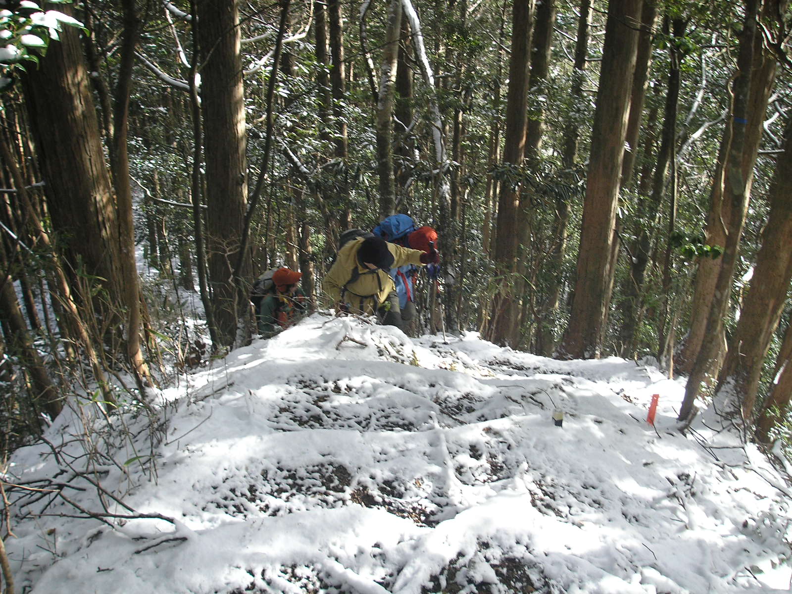 a0048823_15344227.jpg