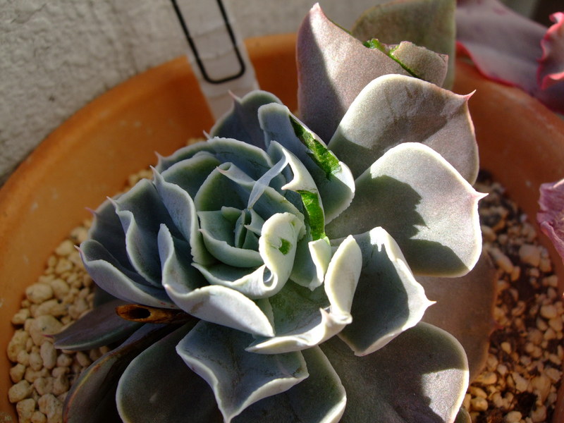 f0243726_959505.jpg