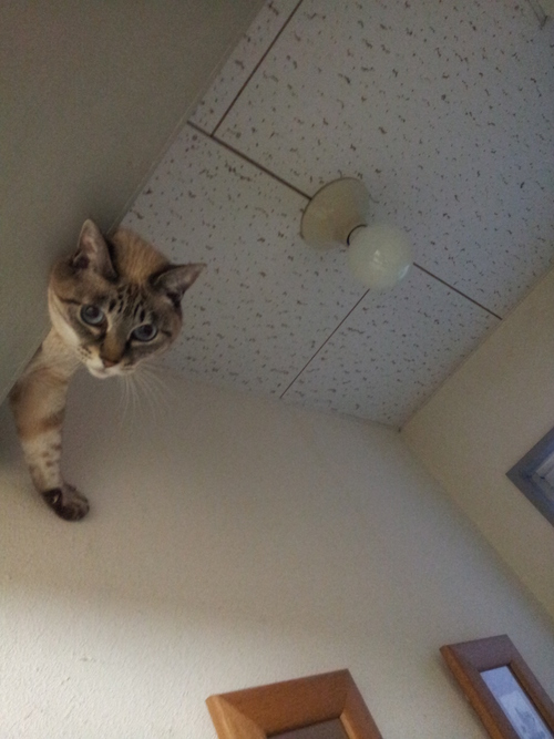 f0009031_8452556.jpg