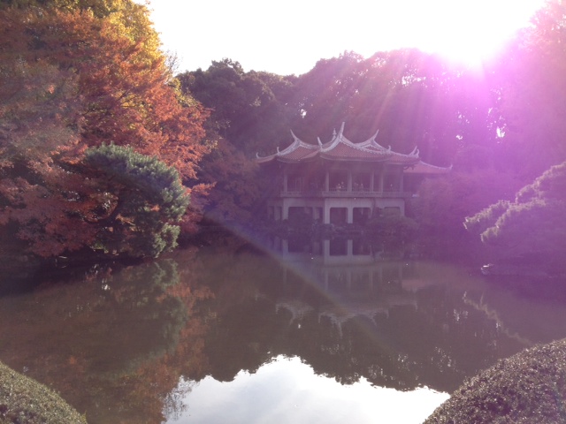 紅葉の新宿御苑がステキ!_a0258233_1575086.jpg